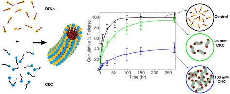 Formation of Drug-Participating Catanionic Aggregates for Extended ...