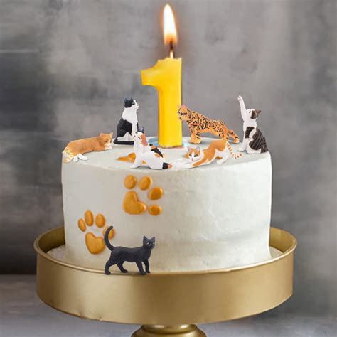 toymany 8PCS Realistic Cat Figurines, Educational India | Ubuy