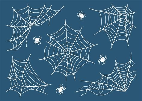 Spider web set isolated on dark blue background vector illustration ...