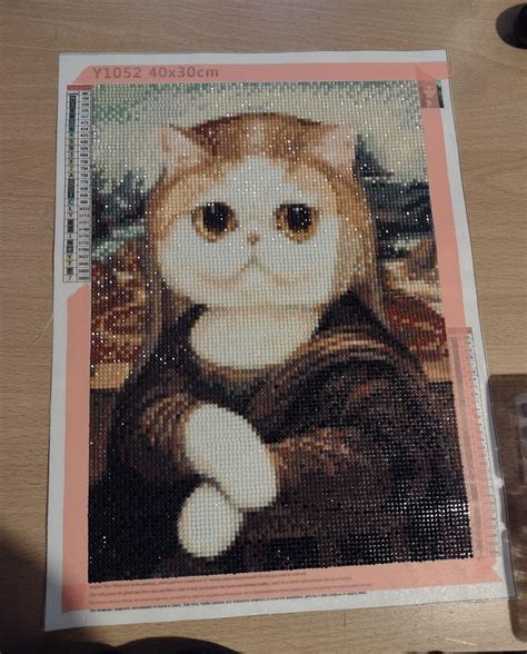 just finished 40 X 30 Mona Lisa cat : r/diamondpainting