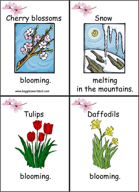 Spring FlashCards 的图像结果