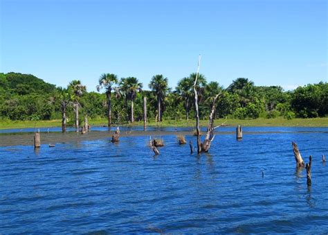 tucunaré no Lago do Peixe em Tocantins