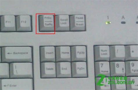 本本截屏的快捷键是哪个？-电脑截屏的快捷键是什么？