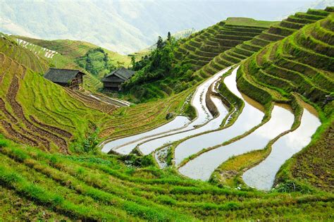 Agriculture In China