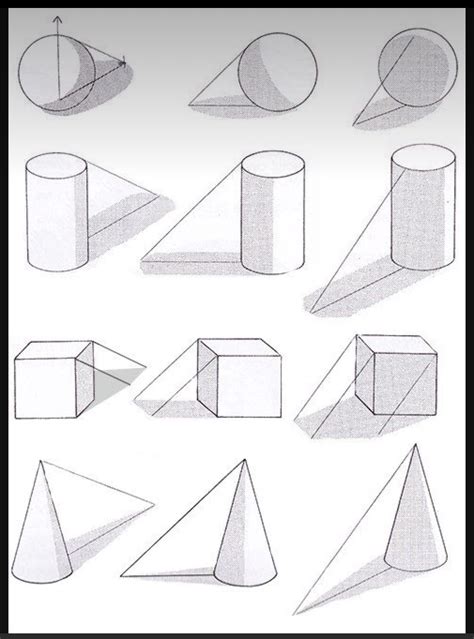 Image result for Beginner Drawing Exercises