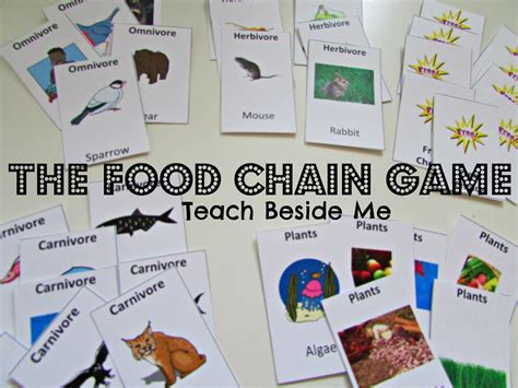 The the food chain game printable – Artofit