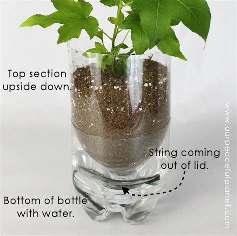 Bildergebnis für homemade self watering system