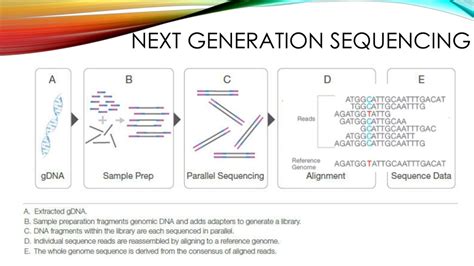 Next-Gen Sequencing Explained 的图像结果