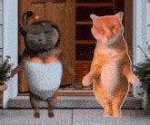 Image result for SQL Code VSR