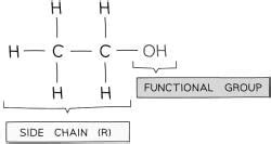Alcohols - Reactions of Alkenes and Alcohols - Chemistry for Grade 10 PDF