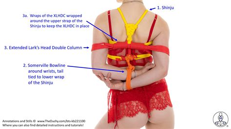 Image result for Box Tie Arm Bind Tutorial