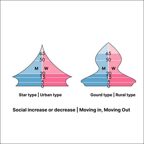 Population Pyramid | The Solopreneur - TheSolopreneur.xyz