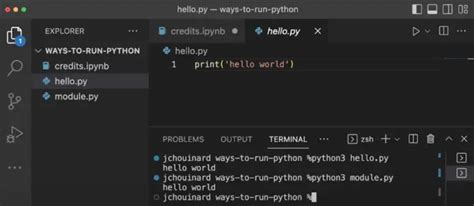 Image result for How Python Code Runs in Computer