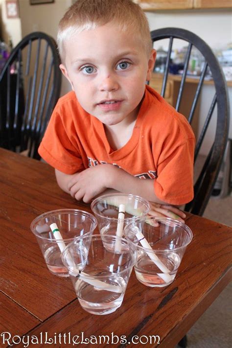 Image result for Easy Physical Science Experiments