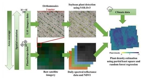 Machine Learning Techniques to Predict Soybean Plant Density Using UAV ...