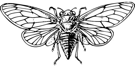 Image result for Digital Matrix Code