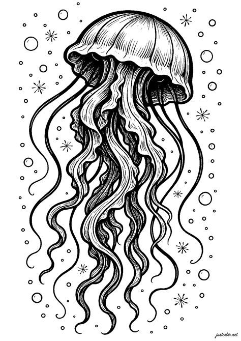Realistic Medusa - Jellyfish Coloring Pages