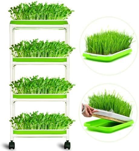 4 Layers Sprout Trays with Extra Strength Plastic Shelf Soil-Free ...