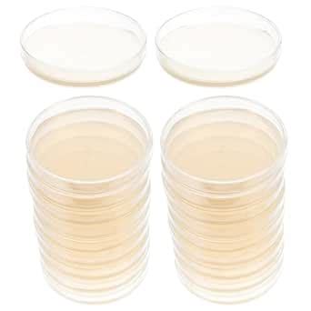 Lab Market (10 pcs) Nutrient Agar Plate For Laboratory, Use of ...