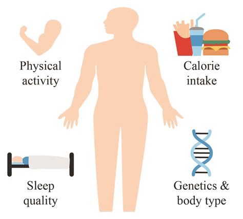 How to Calculate Your Basal Metabolic Rate (BMR)