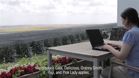 Increase Apple Cultivation Using Drip Irrigation | Netafim India