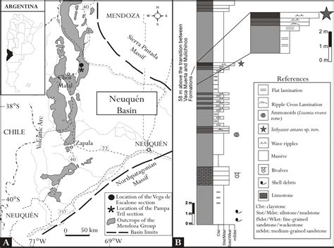 Una estrella de mar (Echinodermata, Asteroidea) del Cretácico Temprano ...