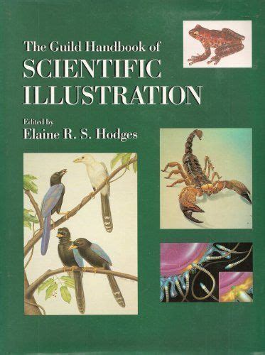 scientific illustration book