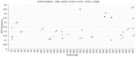 Deep Sequencing of Porcine Reproductive and Respiratory Syndrome Virus ...