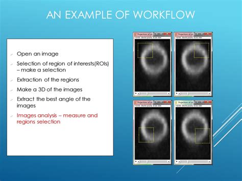 Image result for Image Processing Using ImageJ