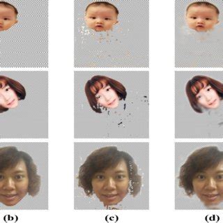 Human Matting Dataset 的图像结果
