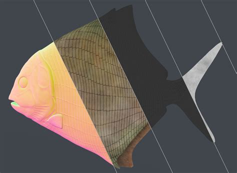 Image result for Extinct Fish Models