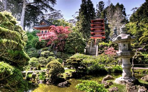 The Samurai's Garden