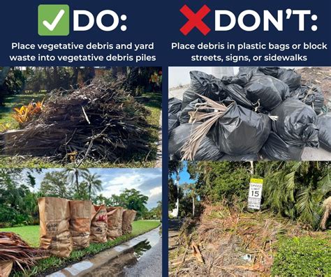 City News: Storm Recovery, Veterans Day, School Ave. Greenway Extension