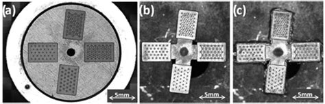 Replication Study of Molded Micro-Textured Samples Made of Ultra-High ...