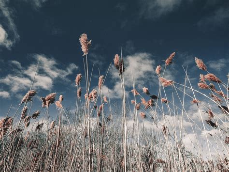 Killing the Biosphere | Meer