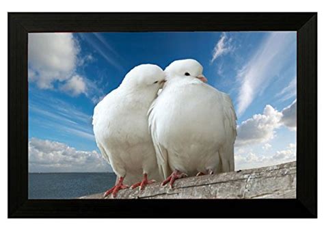 Pintura 'White Pigeons Design' Canvas Framed Painting (Vinyl Board, 45. ...