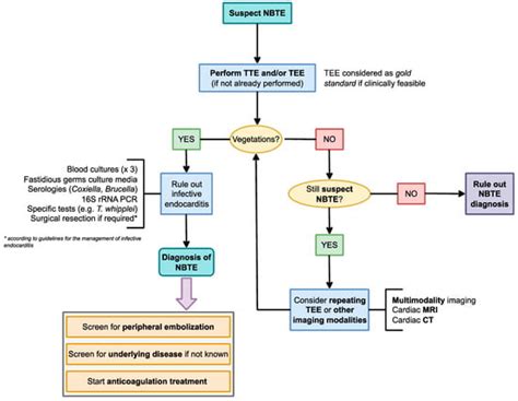 Diagnostic Work-Up in Patients with Nonbacterial Thrombotic Endocarditis