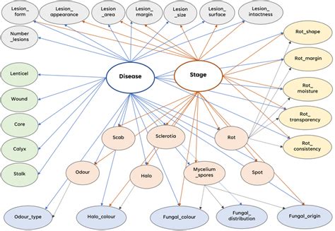 Latex Graph Example Bayesian Network 的图像结果
