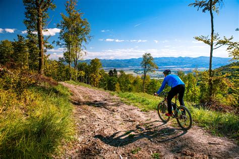 13 Best Mountain Biking Trails in California | KOA Camping Blog