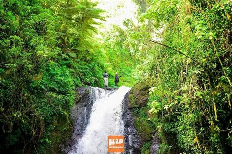 Hikemaniak Kimakia Forest Waterfall Chase, Ndakaini, Gatanga Road ...