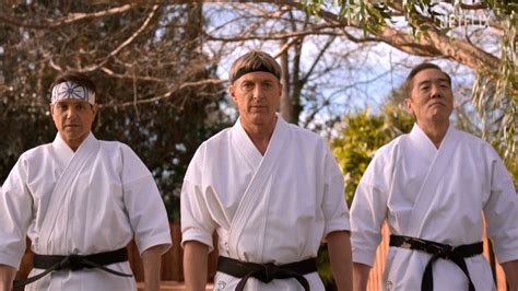 What to Remember From Cobra Kai Before Season 6 - Cobra Kai So Far