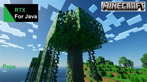 Image result for RTX Java Version Aktivieren