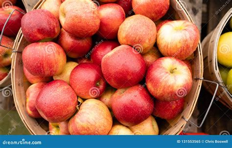 AppleS Fresh Picked in a Bushel BASKET Fresh Food Produce Stock Image ...