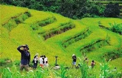 休闲农业和乡村旅游如何发展，听听农业农村部相关负责人怎么说_健康中国促进网