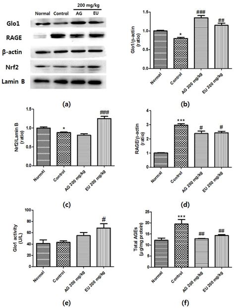 Eucommia ulmoides Ameliorates Glucotoxicity by Suppressing Advanced ...