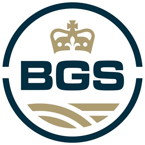 Image result for BGS Code Tutorial