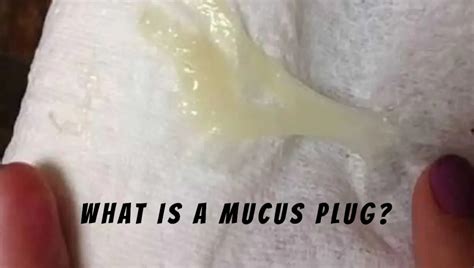 Mucus Plug In Toilet After Peeing - Pregnancy Boss