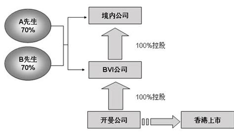 注册bvi公司_北京亚新咨询公司