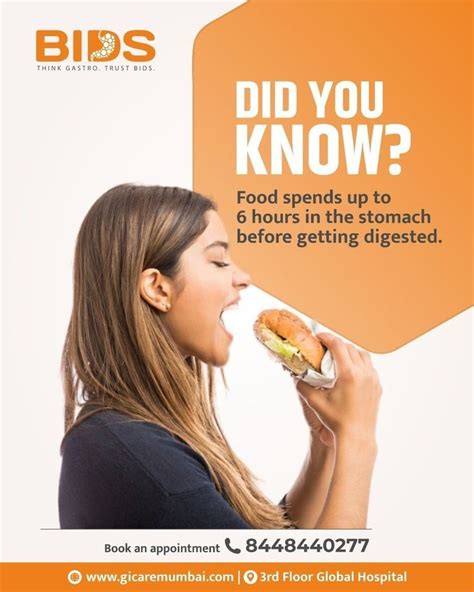 Image result for How Does Food Get Digested