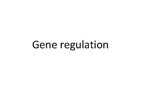Image result for Positive and Negative Control Gene Regulation